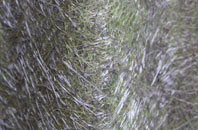 Nash Street fibreglass roof work